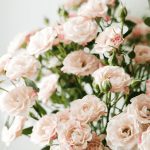 Regalo para bodas: Rosas