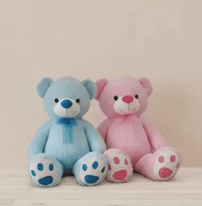 Peluches-de-osito-color-Rosa-y-Azul-1-e1769705714197-294x300