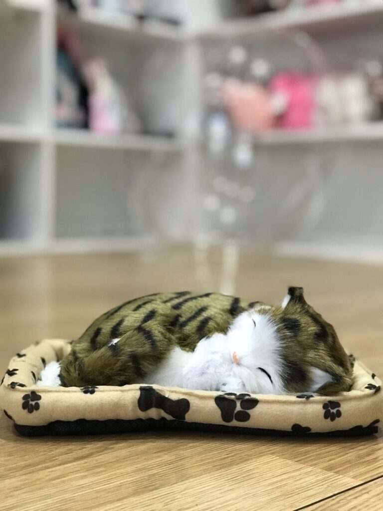 Gatitos interactivos de peluche - Image 3