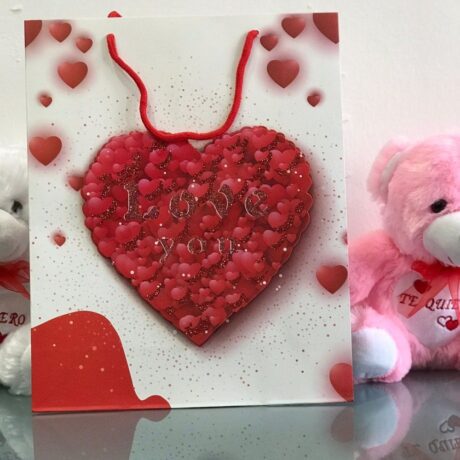 bolsa regalo