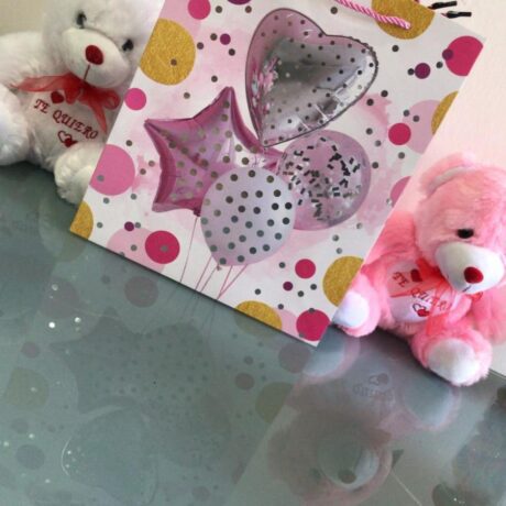 bolsa de regalo