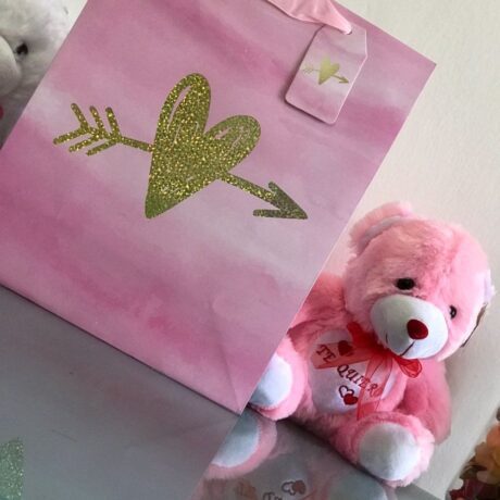 bolsa de regalo