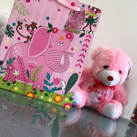 bolsa de regalo