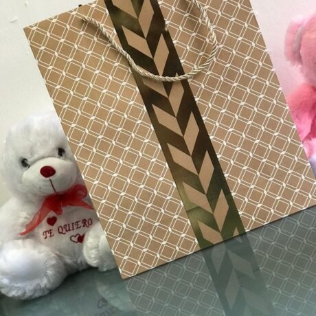 bolsa de regalo