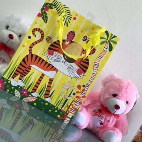 bolsa de regalo