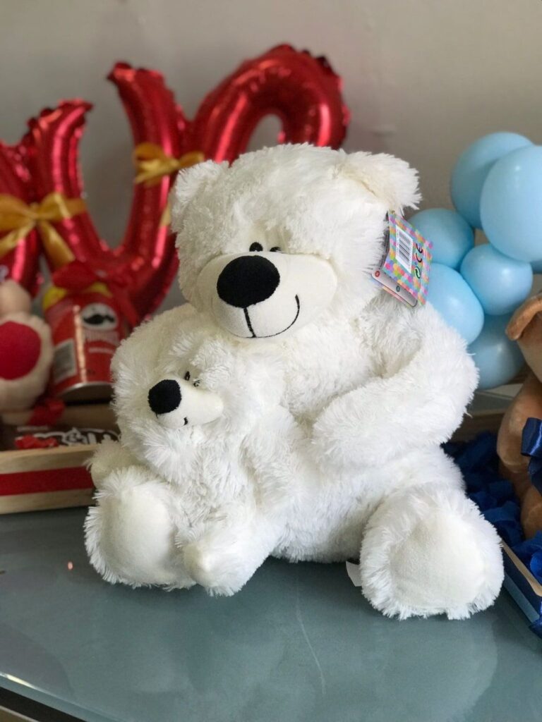Ositos de peluche en varios modelos