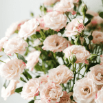 Regalo para bodas: Rosas